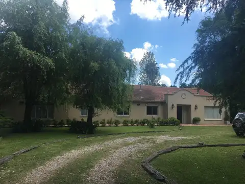 El Pericon 100