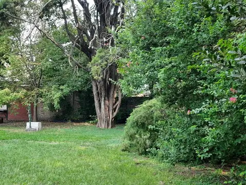 Terreno en Venta 20  mts Fondo