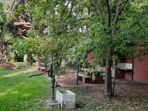 LOS NARANJOS Y SCHILLA