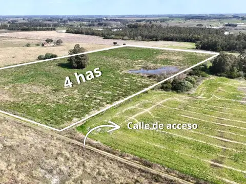 Ruta 6 Sauce Canelones 100