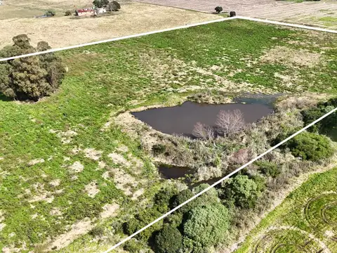 Vendo campo terreno 4,4 hectáreas c tajamar  Sauce