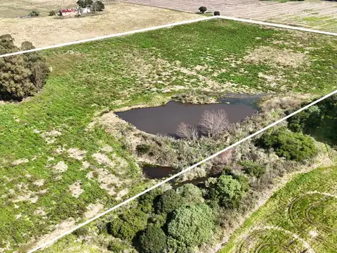 Vendo campo terreno 4,4 hectáreas c tajamar  Sauce