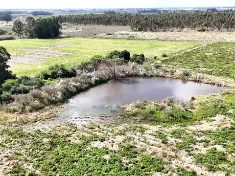 Vendo campo terreno 4,4 hectáreas c tajamar  Sauce