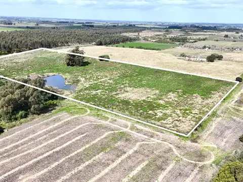 Vendo campo terreno 4,4 hectáreas c tajamar  Sauce