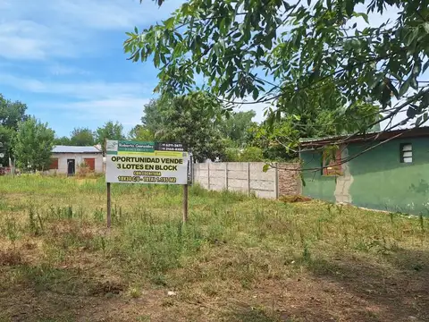 enta de Lotes con Gas Natural y Asfalto - En Block o Separad