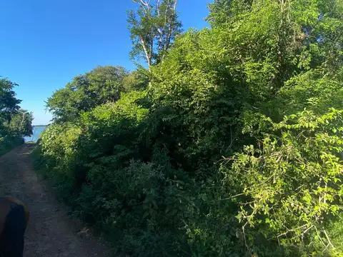 Terreno en Venta 38  mts Frente