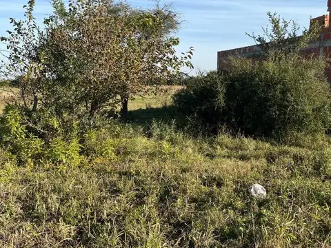 Terreno en Venta de 283,0 m2