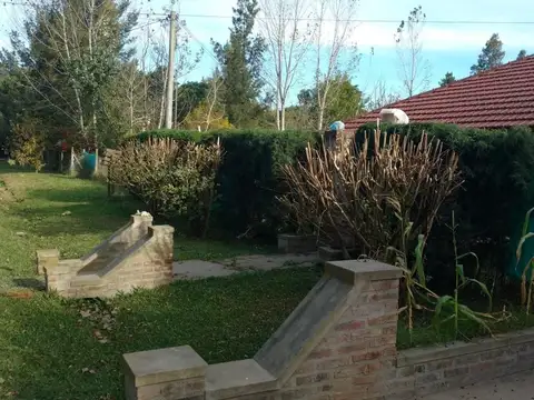 Parque Sakura Jose Ingeniero