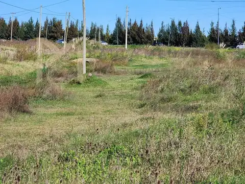 S.I.P El Enlace 1000