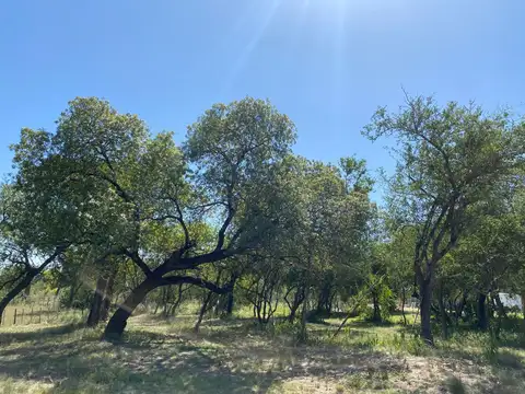 Espectacular lote de 2500 m2 en San Javier, valle de Traslasierras.