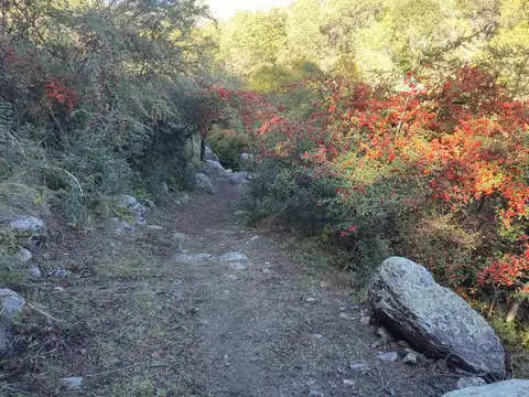 San Javier, Traslasierra 100