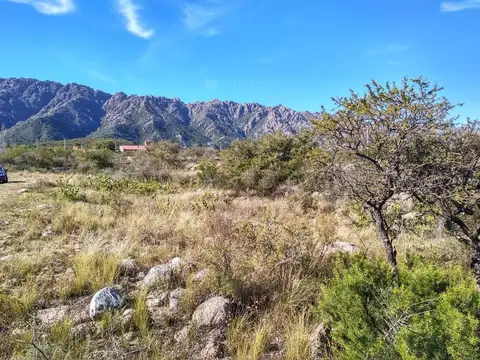 Terreno Campo  en Venta ubicado en Cortaderas, Chacabuco - LAN0247_LP359396_4