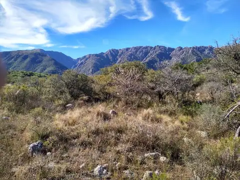 Arroyo Cortaderas 500
