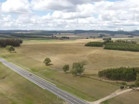 Campo en Lavalleja de 228ha