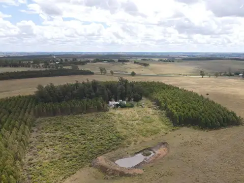 Campo en Lavalleja de 228ha