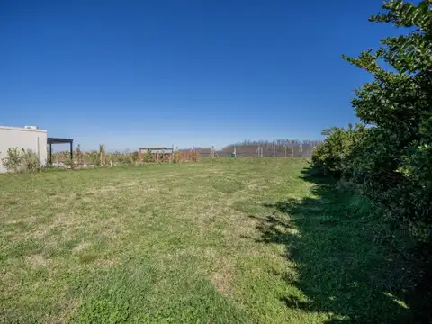 San Sebastián, Área 9 ( Zelaya, Pilar) , Piso No definido