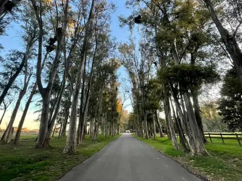 Terreno en Venta de 1314,0 m2