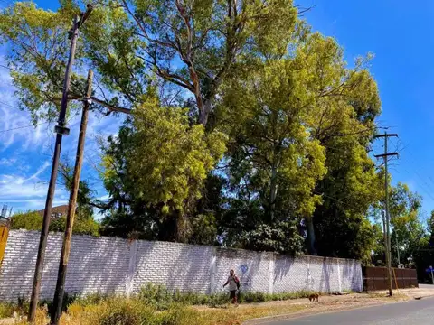 Terreno en Venta de 2338,0 m2