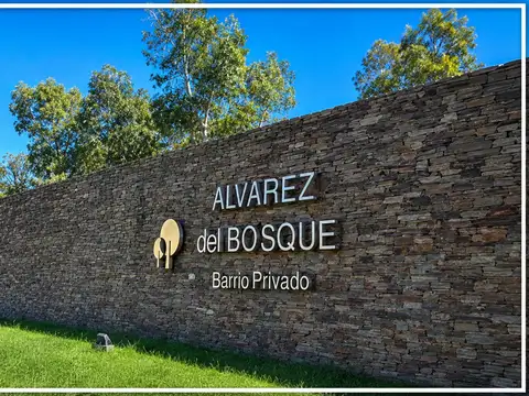 Lote Central en Venta en Al Álvarez del Bosque | Excelente Acceso