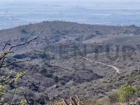 OPORTUNIDAD CAMPO DE 220,64 HECTAREAS en Alta Gracia - USD 1345 x ha