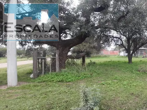 Terreno en Venta 12  mts Frente