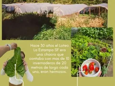 LOTEO LA ESTAMPA