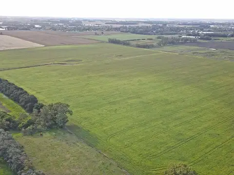 Mar del Plata - 50 has. Agricola.