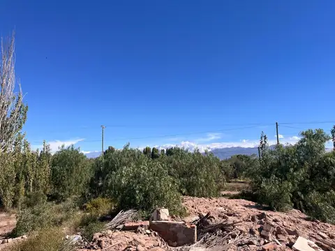 Terreno en Venta de 50000,0 m2