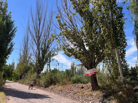 Terrada