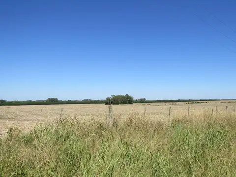 Campo en Venta de 116  ha