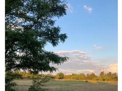 Excelente 5 Hectáreas  En Esquina Con 2 Casas Y Galpones