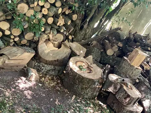 Quinta en Venta al Norte