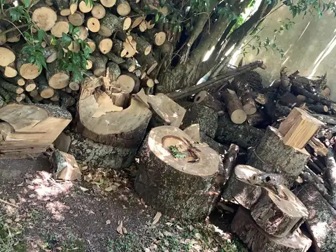 Quinta en Venta al Norte