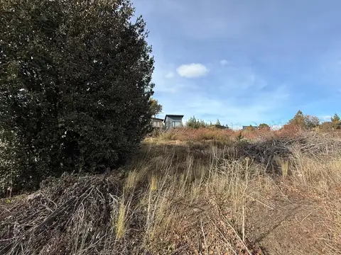 Terreno en Venta 31  mts Fondo