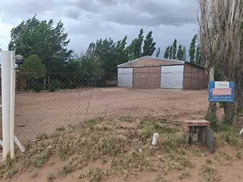 Minas 100