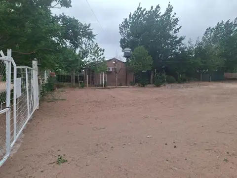 Galpon en Alquiler 50  mts Fondo