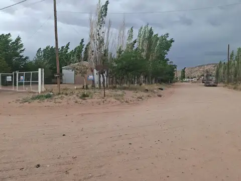 Minas 100