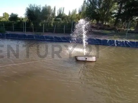 Terreno en Venta 58  mts Fondo