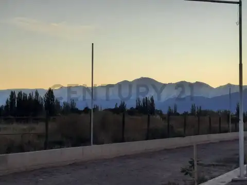 TERRADA 5100, Piso 0