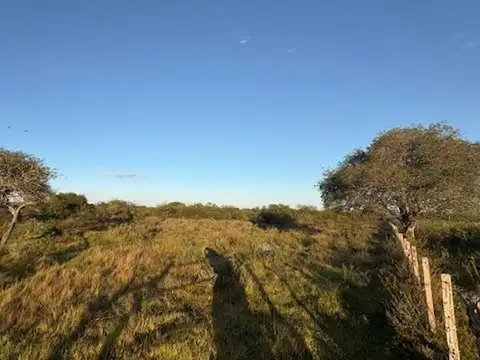 Campo en Venta de 7  ha