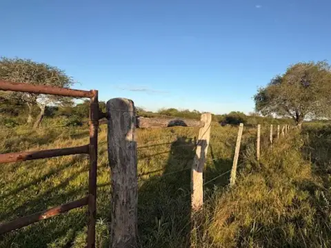 Campo en Venta de 7  ha