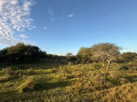 Campo en Venta Chacra