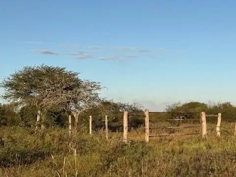 Campo en Venta Chacra