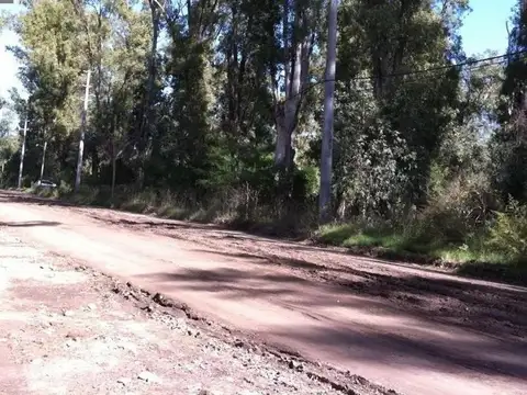 80 M FRENTE X 225 M FONDO - PARA DESARROLLO - MASCHWITZ