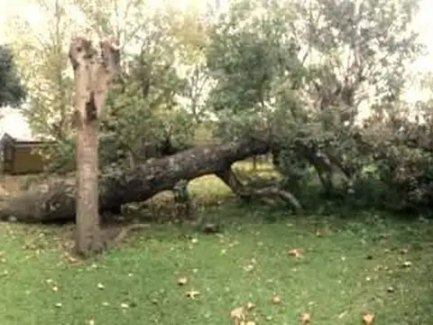 Fracción de 14 has. C/Mejoras en excelente ubicación - Torres - Luján