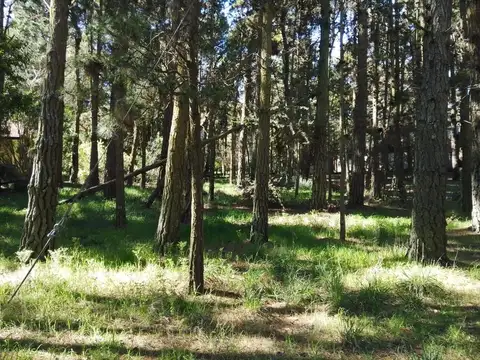 Terreno en Venta en Alfalad, USD 70.000