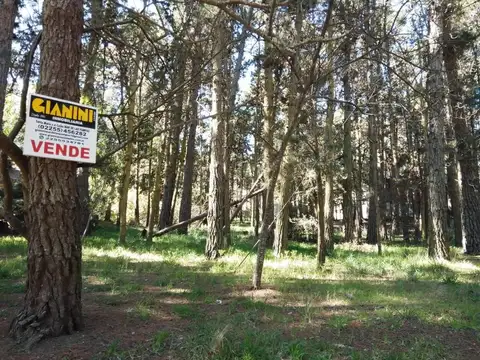 Terreno en Venta de 675,0 m2