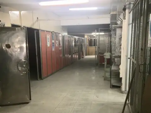 Castelli nº 144 e/ Alem y Carlos Pellegrini