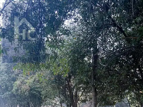 Terreno en Venta de 250,0 m2
