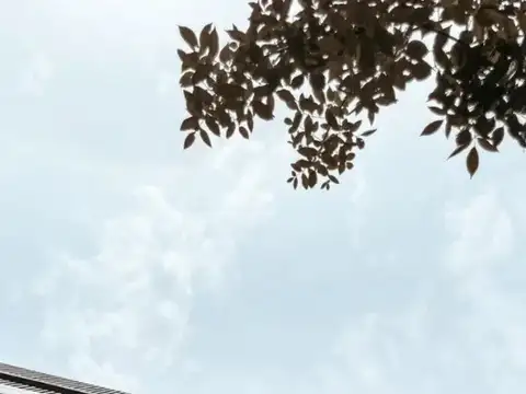 José León Suárez 1500